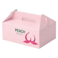 ヤマニパッケージ 青果用贈答箱 桃手提 L-170B 100箱（1箱×100）（直送品）