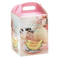 ヤマニパッケージ 青果用贈答箱 ドリームメロン1ヶ入 L-200B 100箱（10箱×10）（直送品）