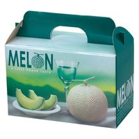 ヤマニパッケージ  青果用贈答箱 L-2084 ビリジスメロン2ヶ入 L-2084 50箱(10箱×5)（直送品）