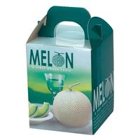 ヤマニパッケージ 青果用贈答箱 ビリジスメロン1ヶ入 L-2083 100箱（10箱×10）（直送品）