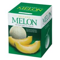 ヤマニパッケージ 青果用贈答箱 デリシャスメロン1ヶ入 L-2111 100箱（10箱×10）（直送品）
