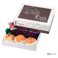 ヤマニパッケージ 青果用贈答箱 旬果撰集（中） L-2172 50箱（10箱×5）（直送品）