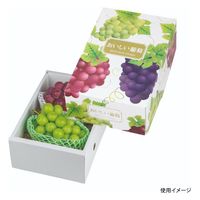 ヤマニパッケージ 青果用贈答箱 デリシャス葡萄2K L-2277 50箱（10箱×5）（直送品）