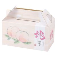 ヤマニパッケージ 青果用贈答箱 桃果手提2ヶ入 L-2282 100箱（20箱×5）（直送品）