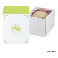 ヤマニパッケージ 青果用贈答箱 シャルトルーズメロン 1ヶ入160 L-2286 40箱（10箱×4）（直送品）