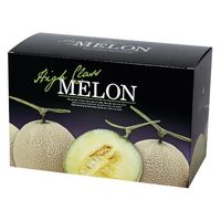 ヤマニパッケージ 青果用贈答箱 グランドメロンL 2ヶ入 L-2297 50箱（10箱×5）（直送品）