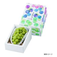 ヤマニパッケージ 青果用贈答箱 彩りぶどう1房 L-2367 60箱（10箱×6）（直送品）
