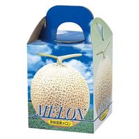 ヤマニパッケージ 青果用贈答箱 ピュアメロン1ヶ入 L-339 100箱（10箱×10）（直送品）