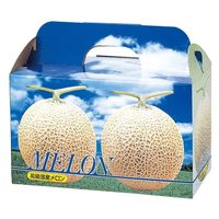 ヤマニパッケージ 青果用贈答箱 ピュアメロン2ヶ入台紙付 L-340T 50箱（10箱×5）（直送品）