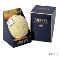 ヤマニパッケージ 青果用贈答箱 メロン・マチェール L-348 100箱（10箱×10）（直送品）