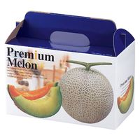ヤマニパッケージ 青果用贈答箱 プレミアムメロン2ヶ入 L-415 50箱（10箱×5）（直送品）