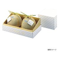 ヤマニパッケージ 青果用贈答箱 金台紙メロン2ヶ入 L-74 30箱（1箱×30）（直送品）