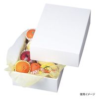 ヤマニパッケージ 青果用贈答箱 ホワイト5 LTO-5 40箱（1箱×40）（直送品）