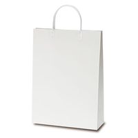 ベルベ 紙袋 A4ファイルバッグ 1084 1袋(10個)（直送品）
