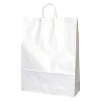 パックタケヤマ 紙袋 手提袋 HV100 晒 無地 68905 1袋(50個)（直送品）