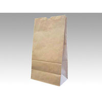 パックタケヤマ 紙袋 角底袋 ハイバッグ H14 未晒無地 XZT00388 1袋(100個)（直送品）