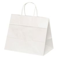 パックタケヤマ 紙袋 自動手提袋 HV68 晒 無地 68701 1袋(50個)（直送品）