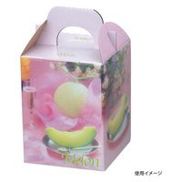 ヤマニパッケージ 青果用贈答箱 ブリリアントメロン1ヶ入 L-407 100箱（10箱×10）（直送品）
