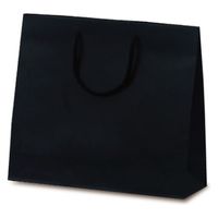 ベルベ 紙袋 手提袋 T-6 カラークラフト ブラック 1038 1袋(10個)（直送品）