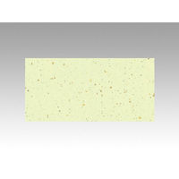 J~C\Y e[u}bg u}bg No.4304 V̐  77004304 1(100)iij
