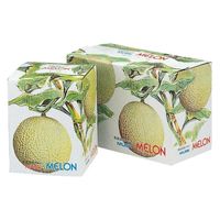 ヤマニパッケージ 青果用贈答箱 イラストメロン2ヶ入 L-62 100箱（10箱×10）（直送品）