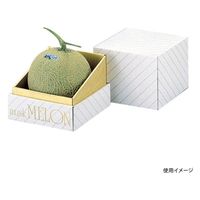 ヤマニパッケージ 青果用贈答箱 金台紙メロン1ヶ入 L-73 30箱（1箱×30）（直送品）