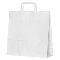 パックタケヤマ 紙袋 紙袋 平紐 3才 白無地 XZT69841 1袋(50個)（直送品）