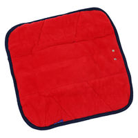 エレス イーカイロUSBウォームパッドS レッド WARMPADS RD 1個