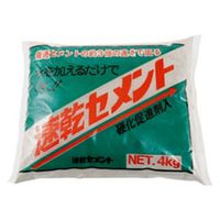 家庭化学工業 家庭化学 速乾セメント 4kg グレー 209738 1袋（直送品）