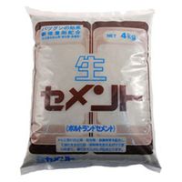 家庭化学工業 家庭化学 生セメント 4kg グレー 209737 1袋（直送品）