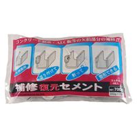 家庭化学工業 家庭化学 復元セメント 700g 209754 1袋（直送品）