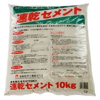 家庭化学工業 家庭化学 速乾セメント 10kg 209775 1袋（直送品）