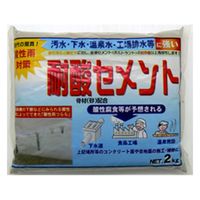 家庭化学工業 家庭化学 耐酸セメント 2kg 209836 1袋（直送品）