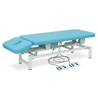 高田ベッド製作所 あかりーDX 幅70×長さ190×高さ45~83cm レッド TB-200 1個 63-4416-93（直送品）