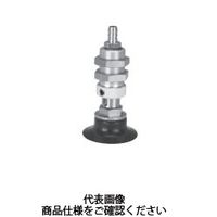 {sXR ^pbh VPSC4[3RS[4B 1Zbg(5)iij