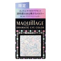 【数量限定品】MAQuillAGE（マキアージュ） ドラマティックアイカラー（P）P BL164 0.6g