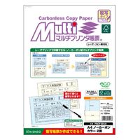 ヒサゴ Ａ４ＮＣカラー２面 FSCF2010 2冊（直送品）