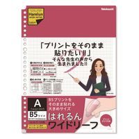 ナカバヤシ ロジカル・はれるんワイドリーフＢ５ワイド LL-B507WA 10冊（直送品）