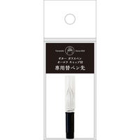 寺西化学工業 ガラスペンオーロラキャップ付替ペン先 MSIN-GLAA 2個（直送品）