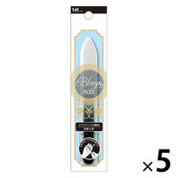 グラスファイル 粗目 5個 貝印