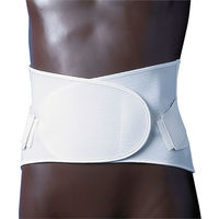 日本衛材 ダイヤサポートII型(3L) 24-4661-04 1個（直送品）