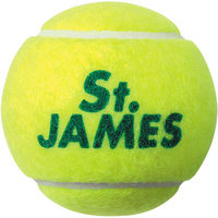 DUNLOP(ダンロップ) テニス ボール St.JAMES セント・ジェームス 40球（4球入×10個） STJAMESJ4（直送品）
