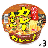 ヤマダイ ニュータッチ 懐かしのカレーうどん 1セット(3個)