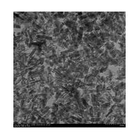 アズワン 酸化ガリウム ナノ粒子 1個 66-0020-13（直送品）