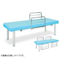 高田ベッド製作所 ハウスベッド 幅60×長さ180×高さ60cm ライトブルー TB-1225 1個 63-4519-58（直送品）