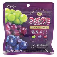 春日井製菓 つぶグミｐｒｅｍｉｕｍ濃厚ぶどう 4901326043305 75g×10個（直送品）