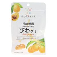 全国農協食品 長崎県産びわグミ 4908012000949 40g×20個（直送品）