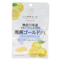 全国農協食品 神奈川県産湘南ゴールドグミ 4908012001427 40g×20個（直送品）