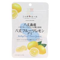 レモン☆ F IS FROZEN LEMONADE: THE ZX 8000 FROZEN LEMONADE SNEAKER