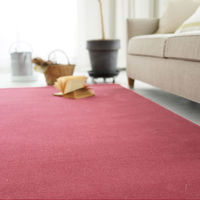 スミノエ コンシェルジュ オーダーラグ ウールレックス 650×600mm ピーチ AS-WR22-PEA6560 1枚（直送品）